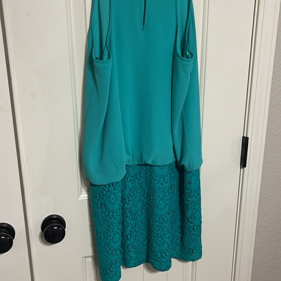 2 for $15! Naked Zebra Dress - Picture 6 of 6